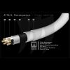 ALLBIT CONSEQUENCE