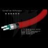 CARNELIAN REFERENCE (USB Interconnect)