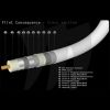 Flint Consequence