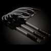 CALCIT GOLD (version RCA/BNC and XLR)